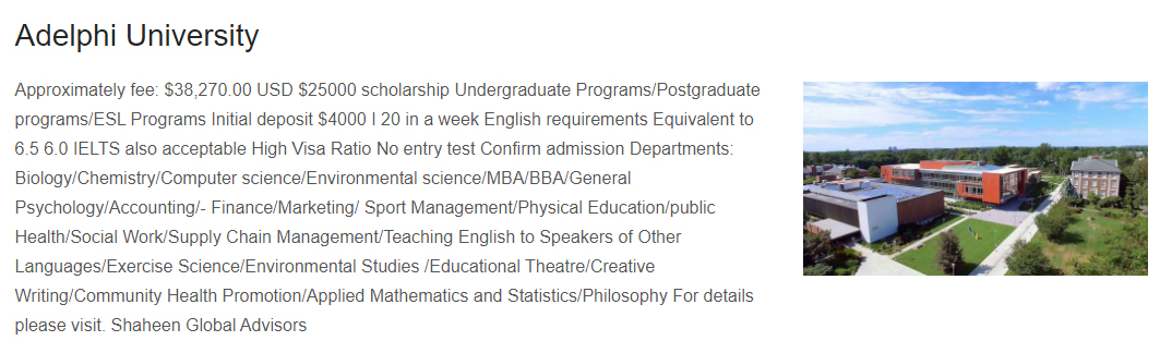 University of adelphi