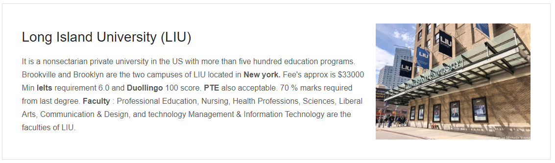 University of long_island